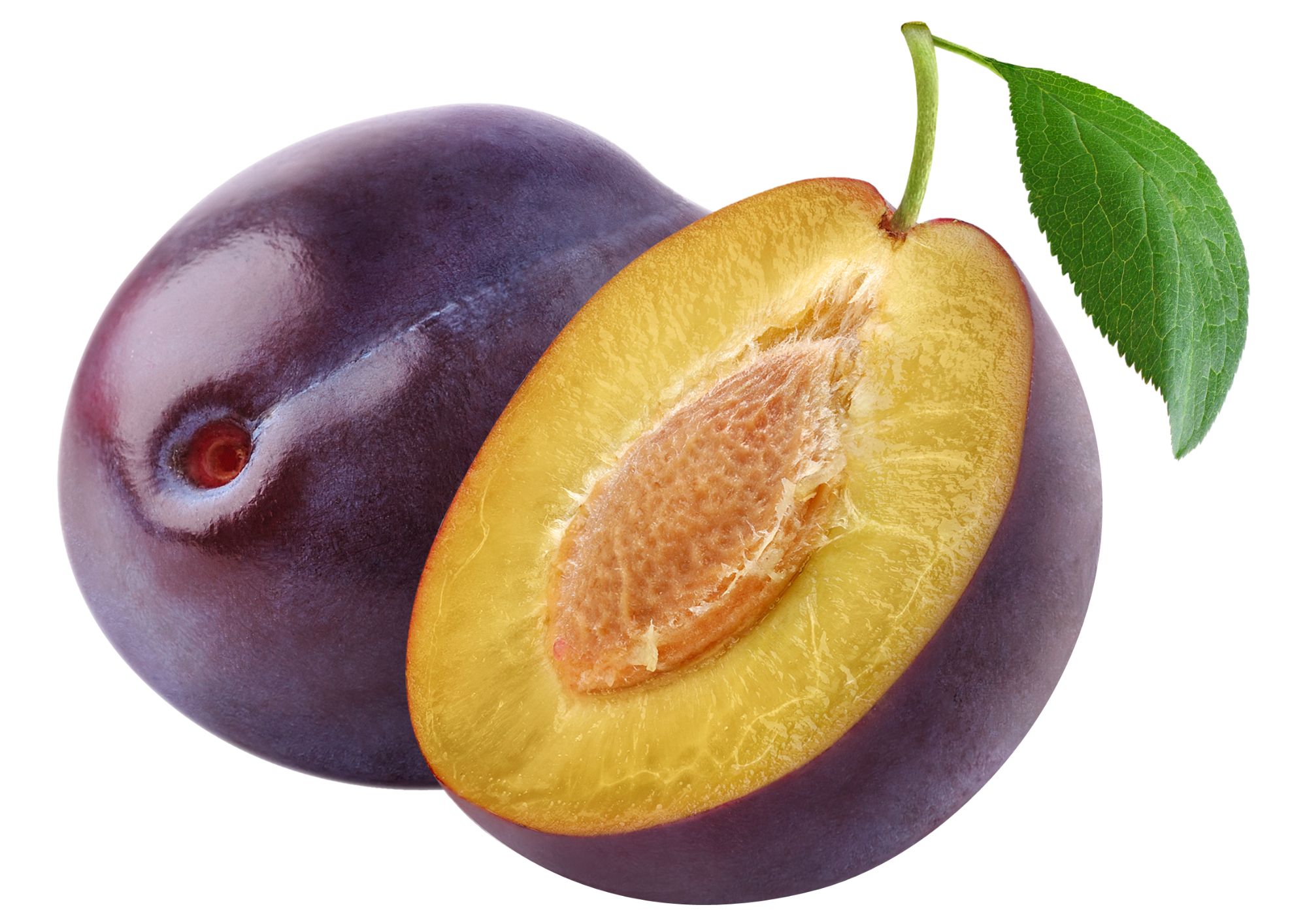 CIRUELA