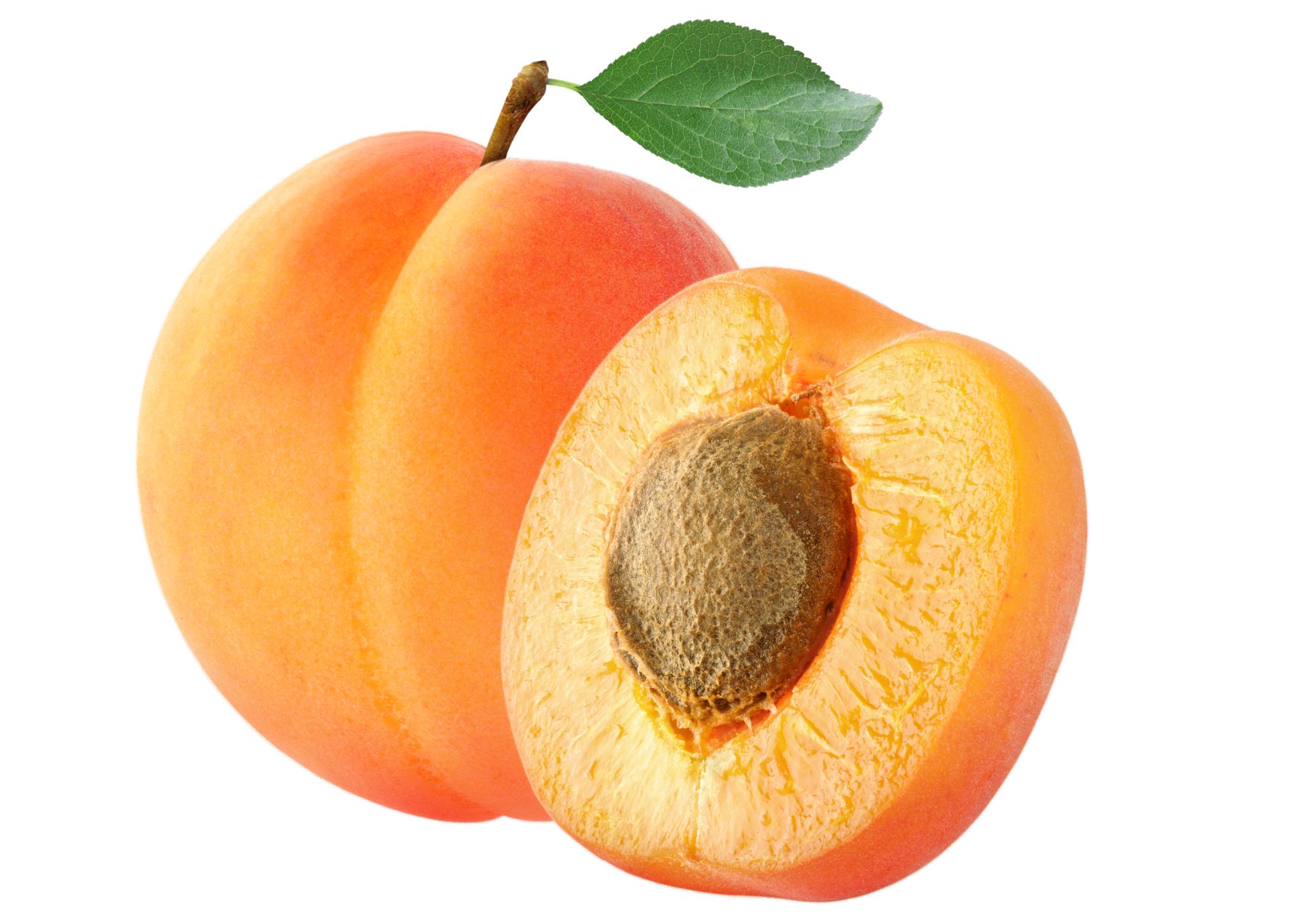 DAMASCO