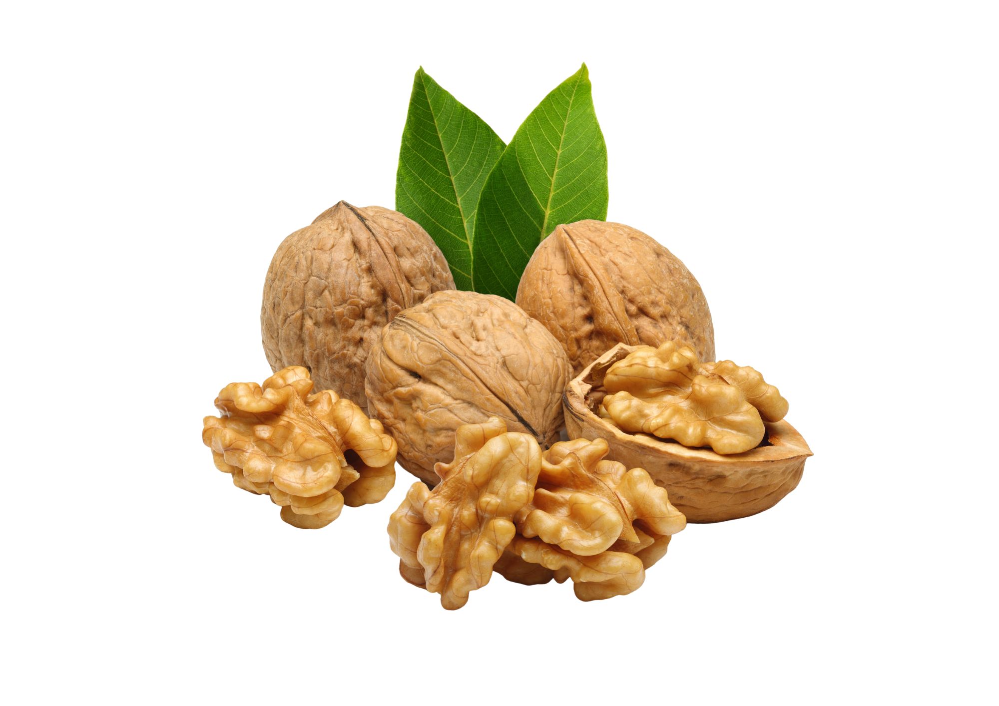 NUECES